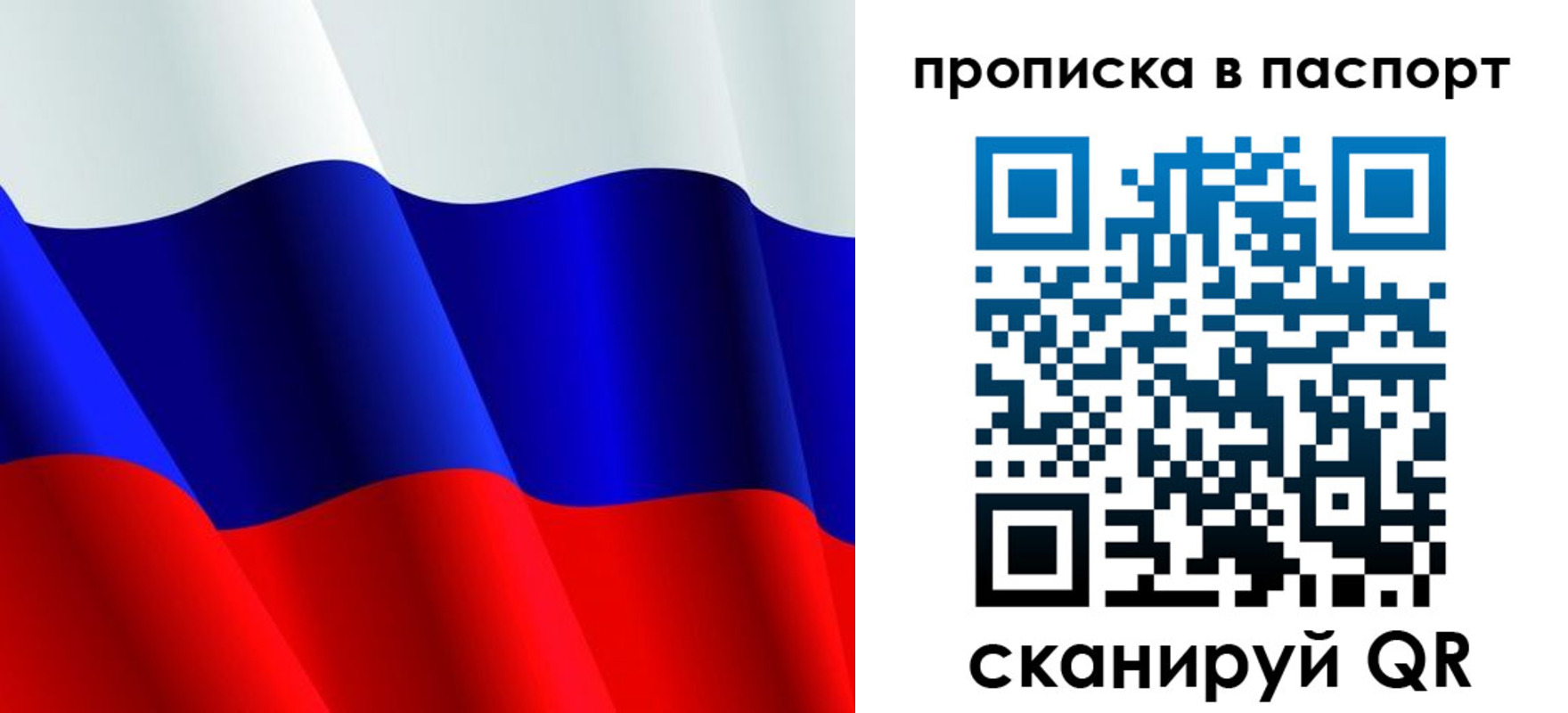 прописка в Сланцах